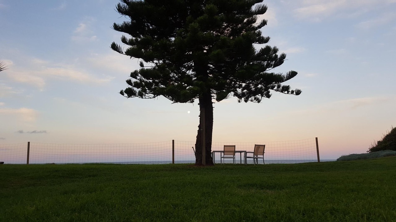 Photo of Others in Narrabeen