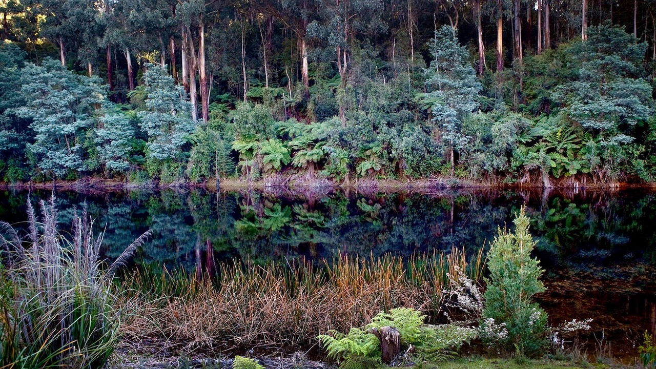 Photo of Others in Gladysdale