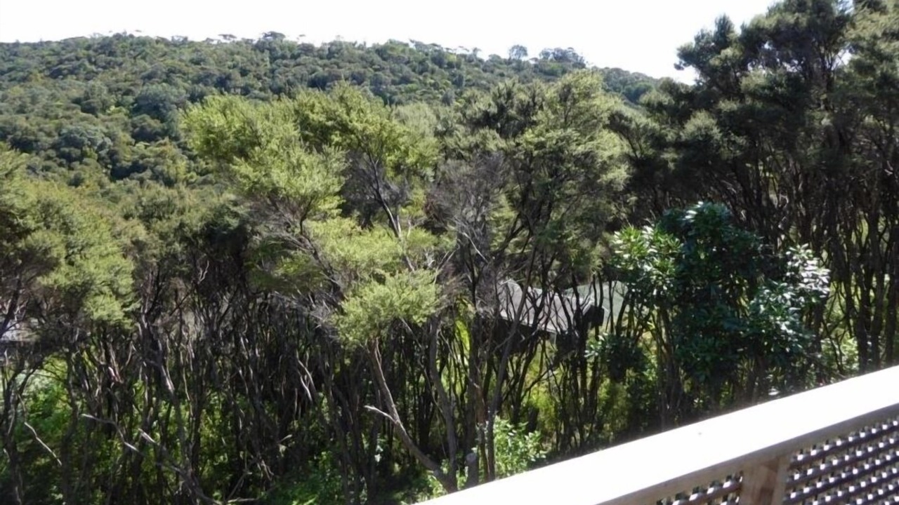 Photo of Others in Omiha