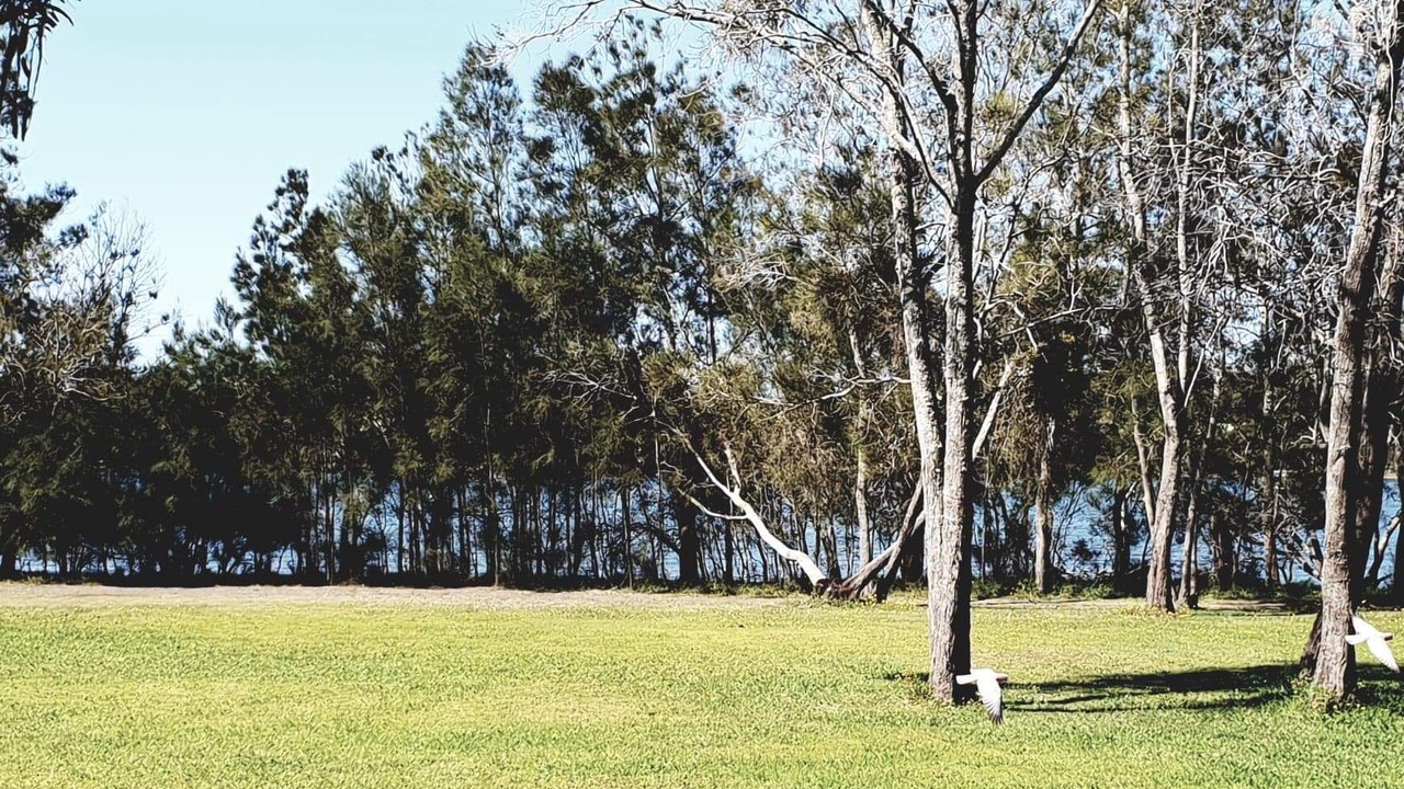 Photo of Others in Coomba Park