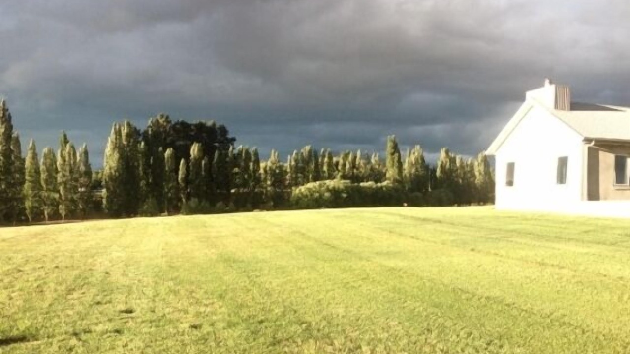 Photo of Others in Alexandra