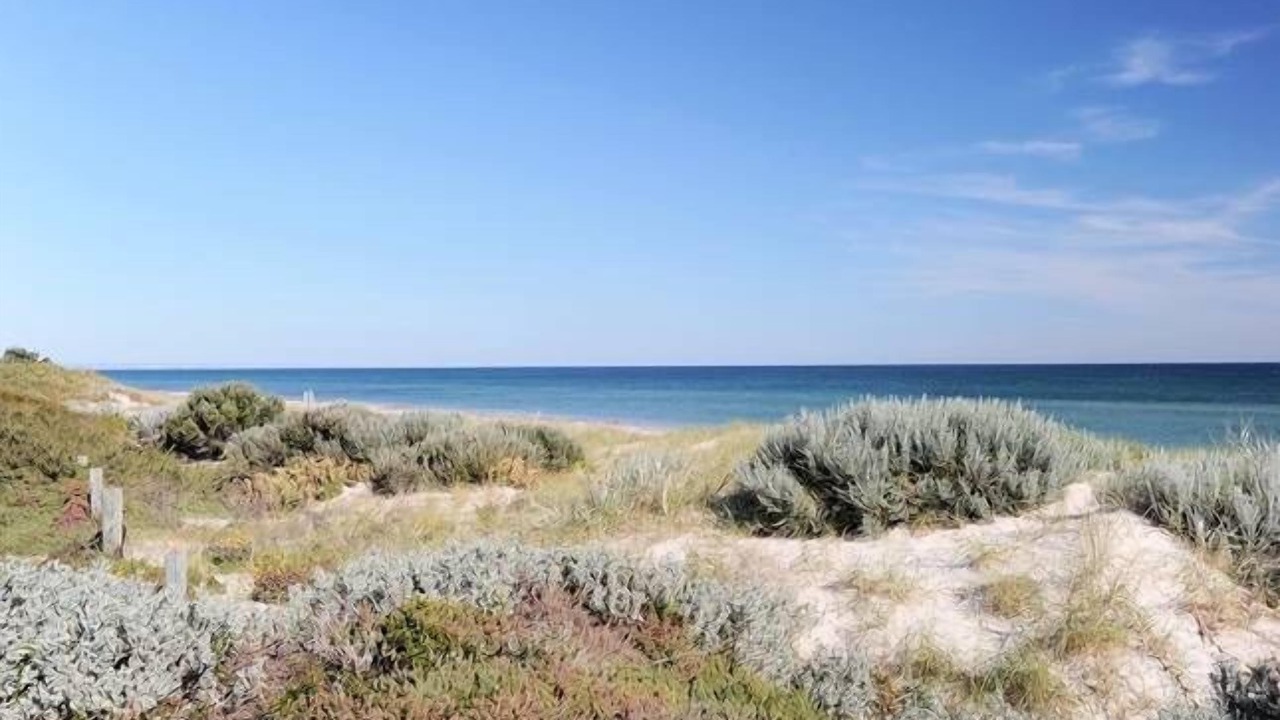 Photo of Others in Semaphore Park