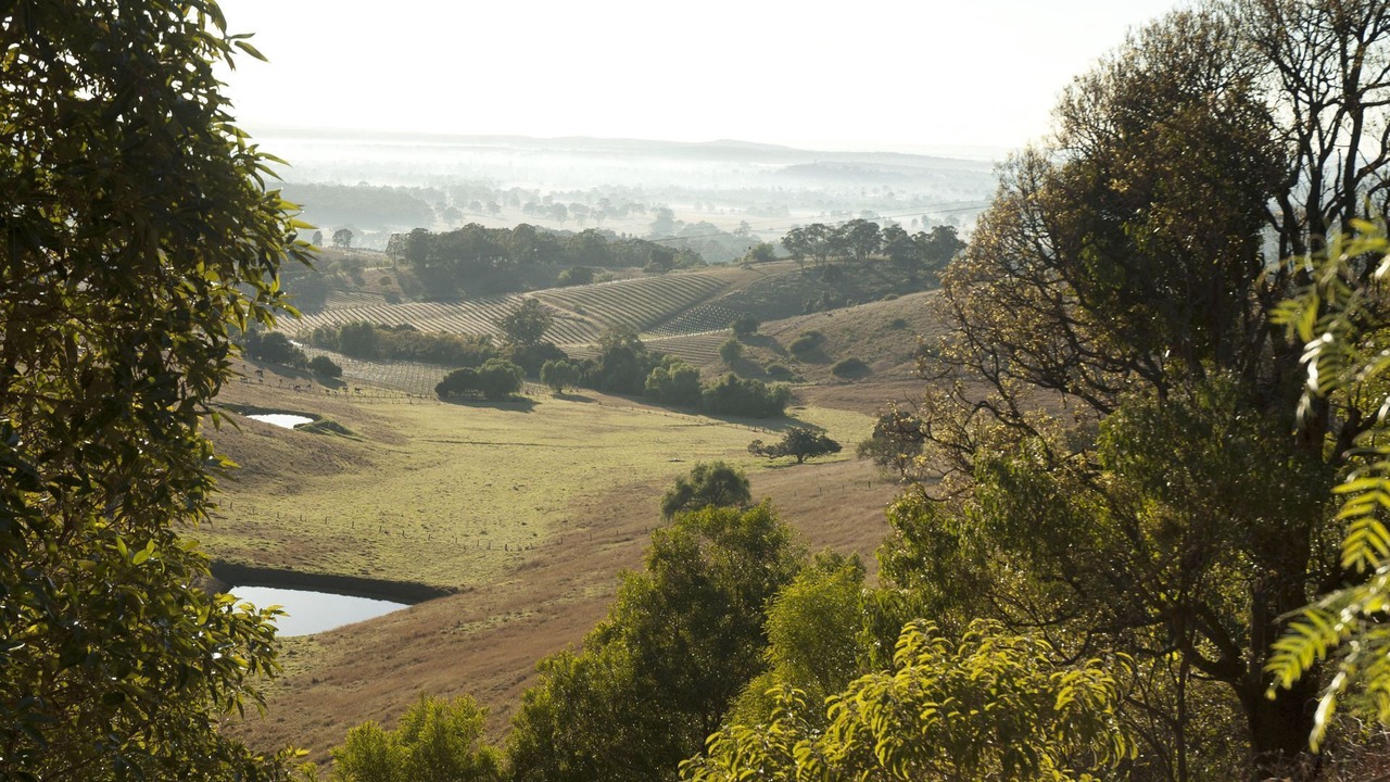 Photo of Others in Mount View