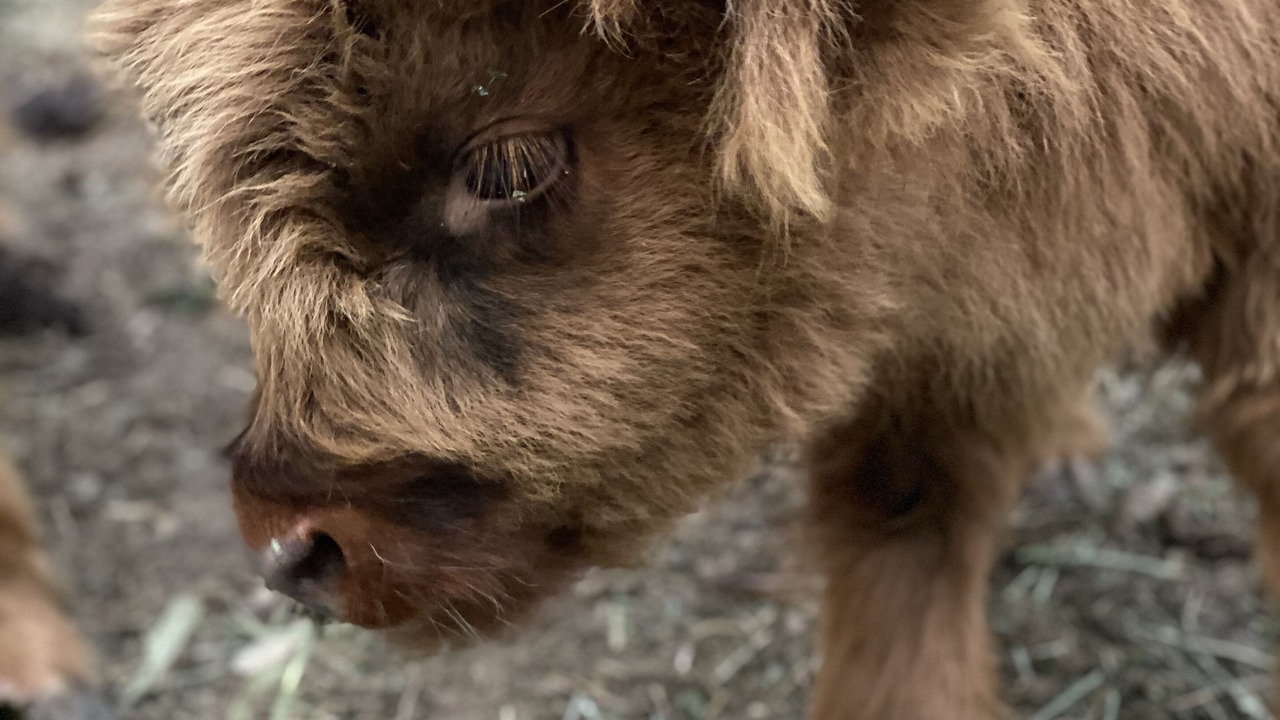 Photo of Outdoor in Rosebrook