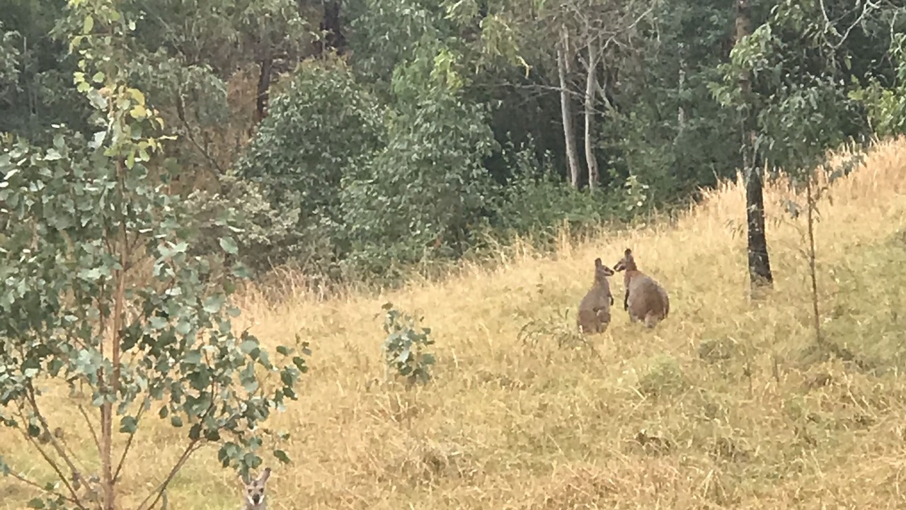 Photo of Outdoor in Rosebrook