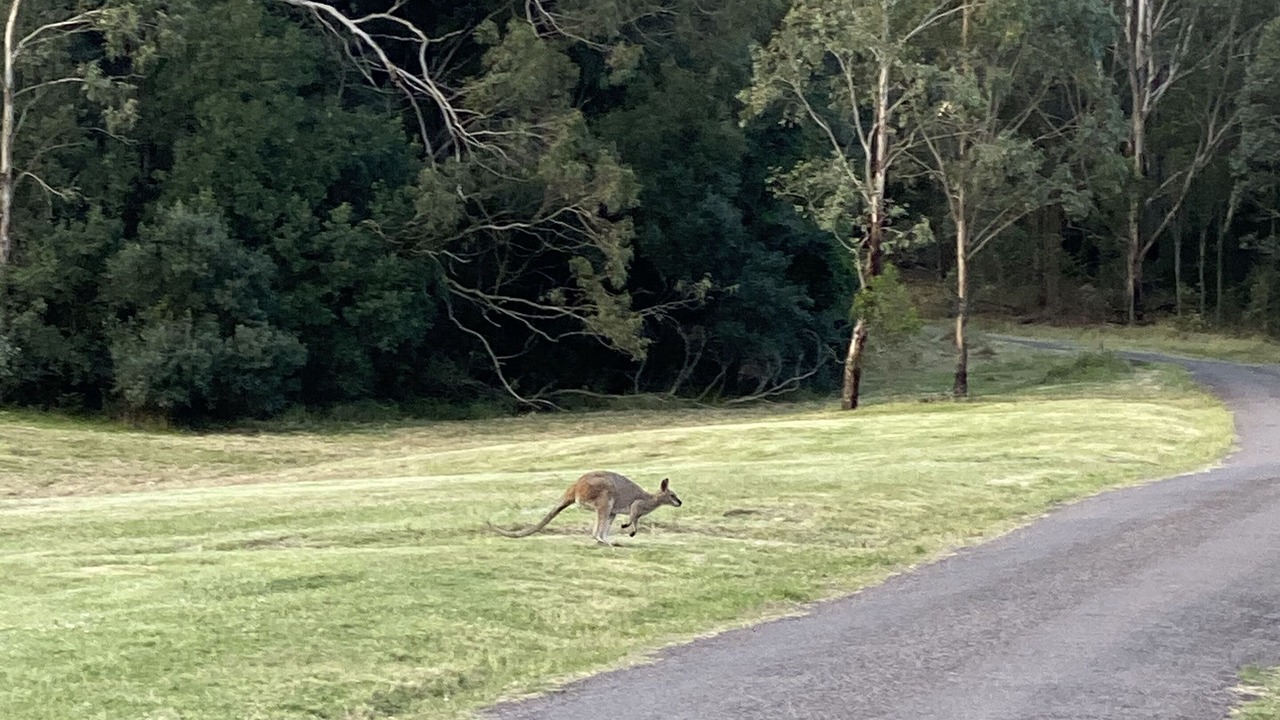 Photo of Outdoor in Rosebrook