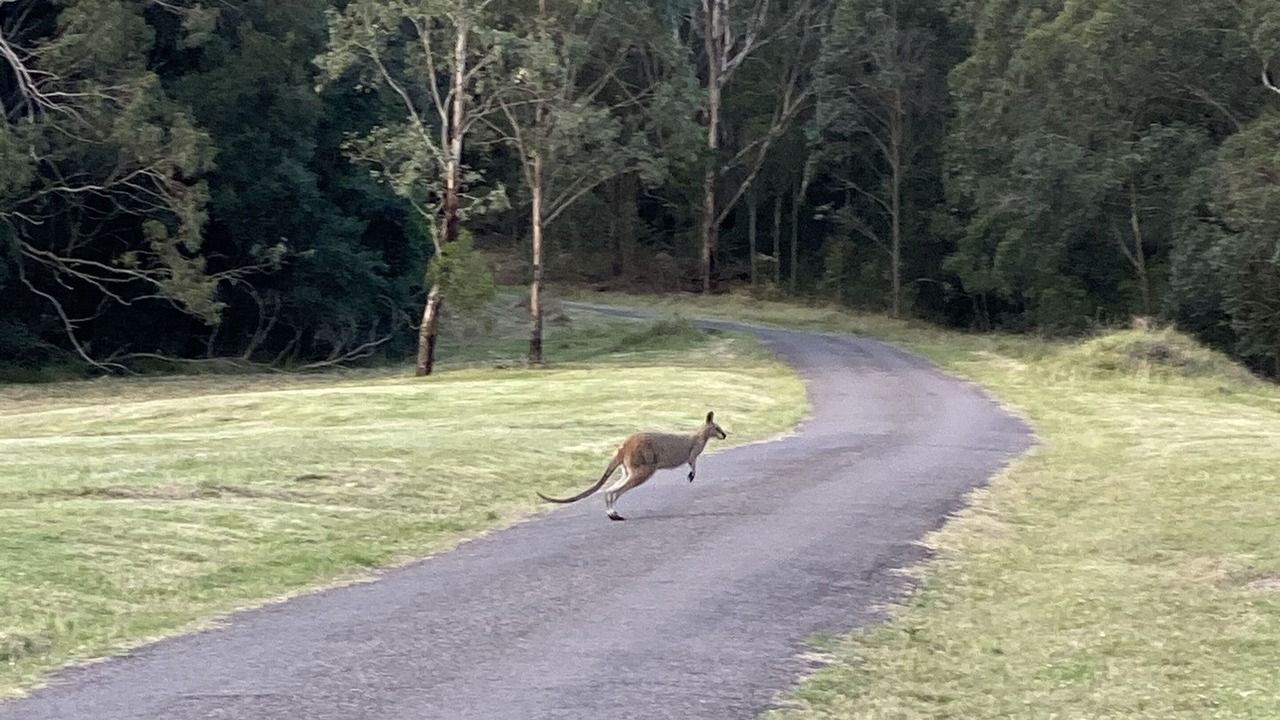Photo of Others in Rosebrook