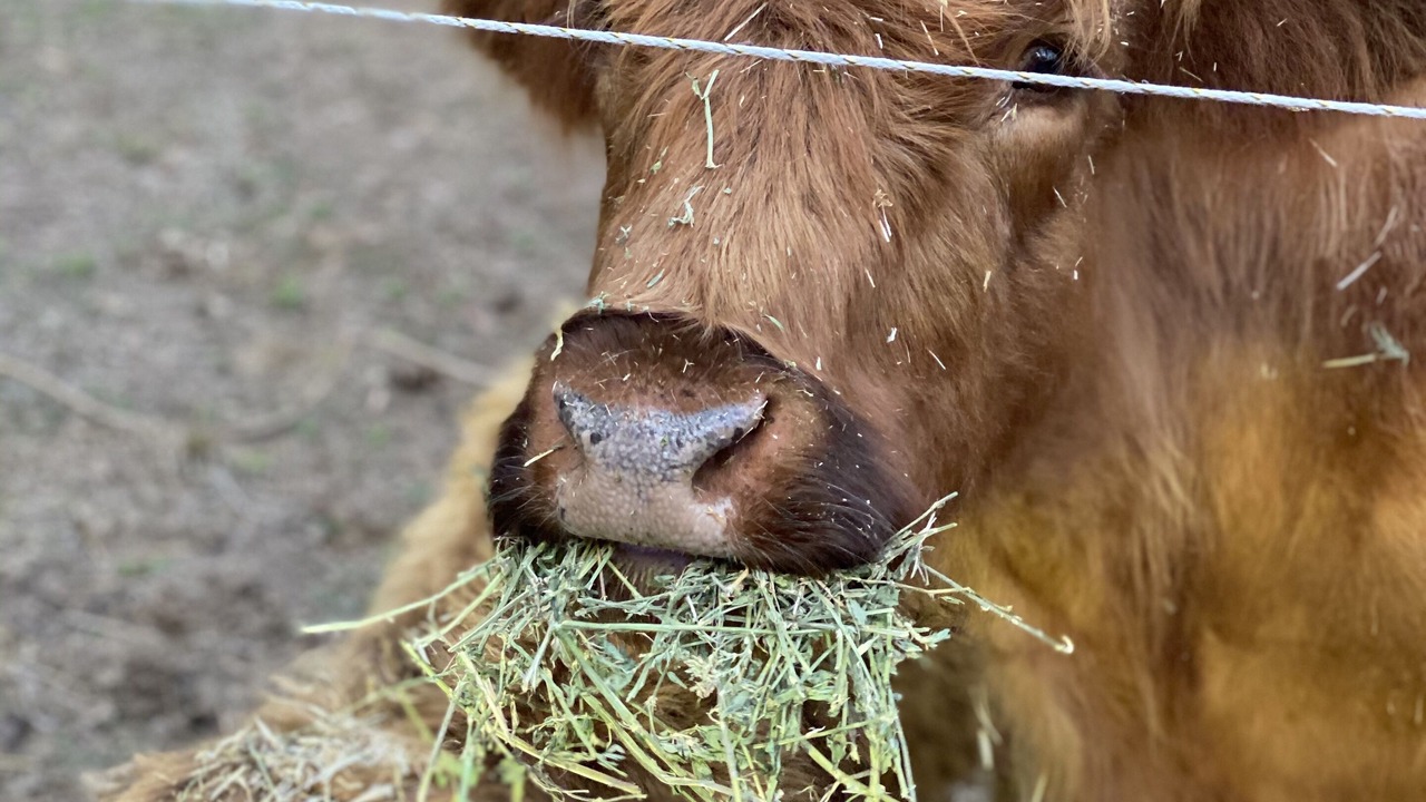 Photo of Outdoor in Rosebrook