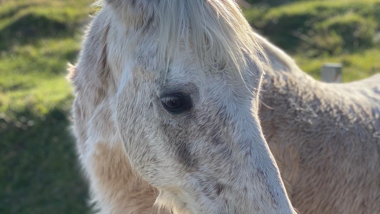 Photo of Outdoor in Rosebrook