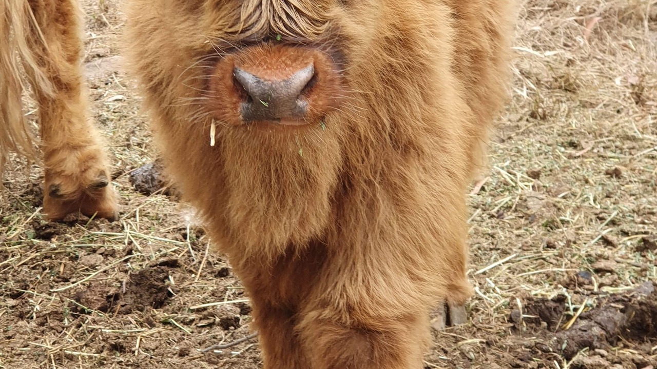 Photo of Outdoor in Rosebrook