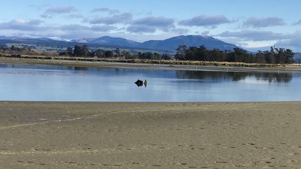 Photo of Others in Waikuku Beach