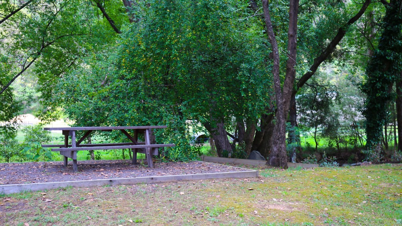 Photo of Outdoor in Harrietville