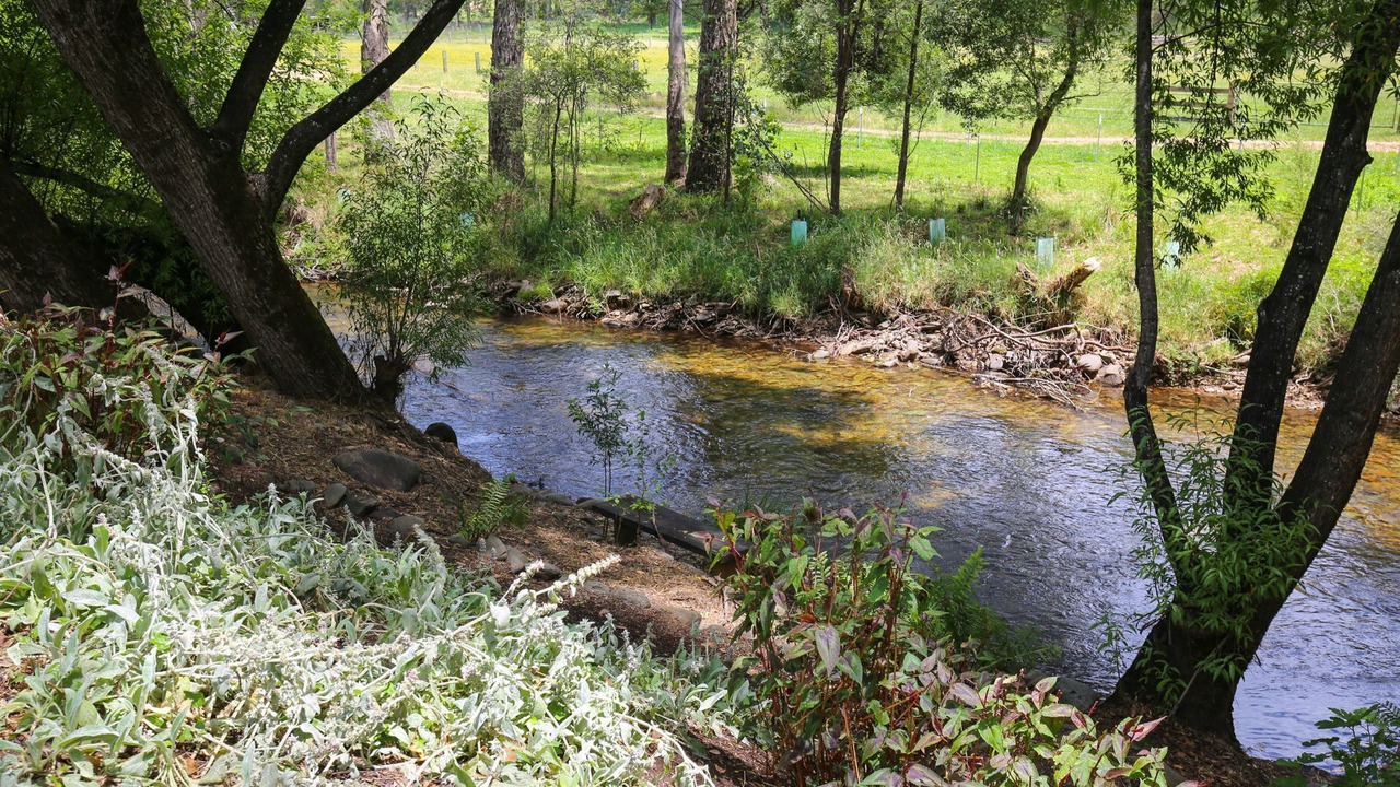 Photo of Outdoor in Harrietville