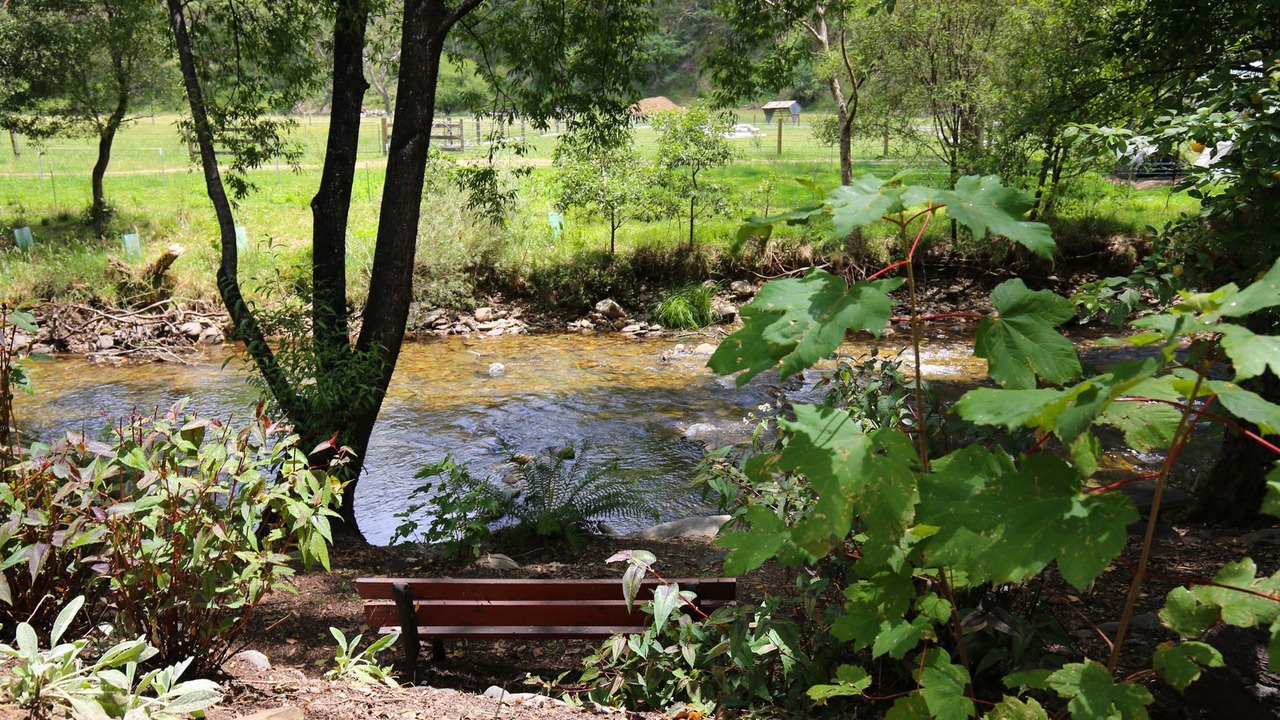 Photo of Others in Harrietville