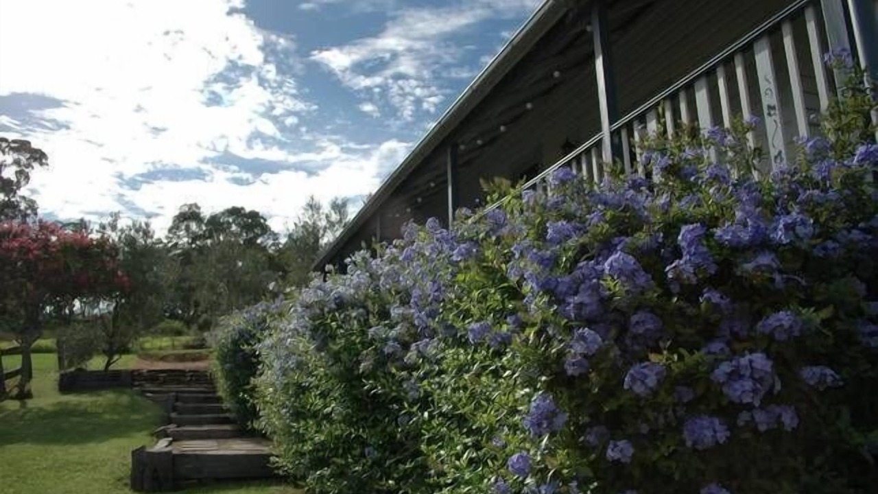 Photo of Outdoor in Mount View