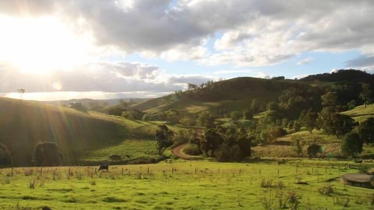 Photo of Outdoor in Mount View