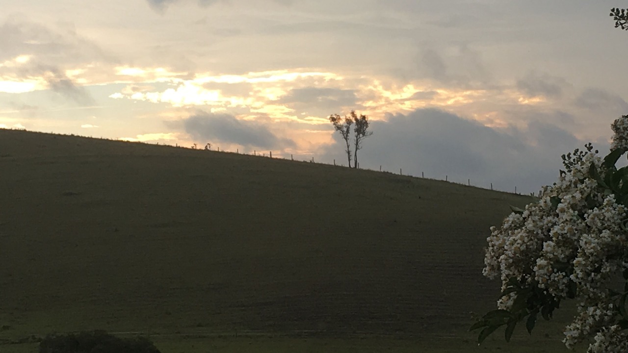 Photo of Outdoor in Mount View