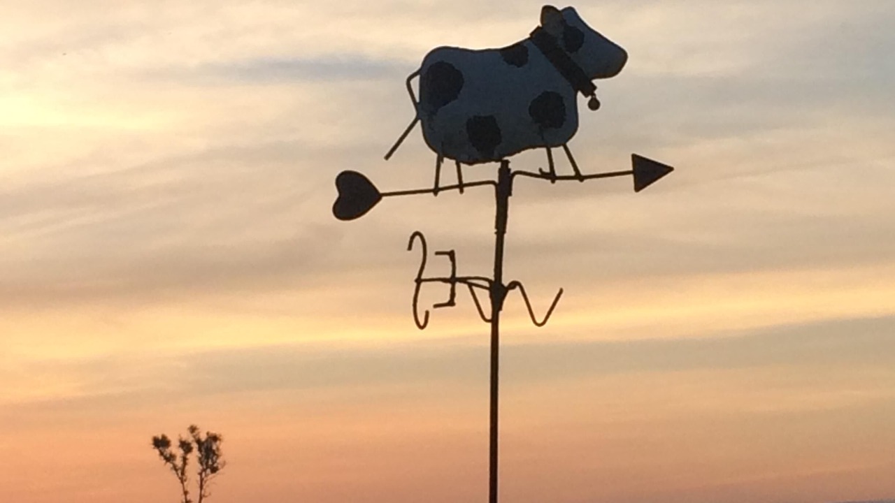 Photo of Others in Mount View