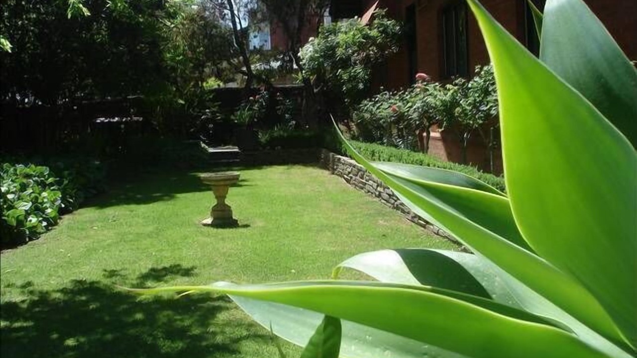 Photo of Outdoor in North Adelaide