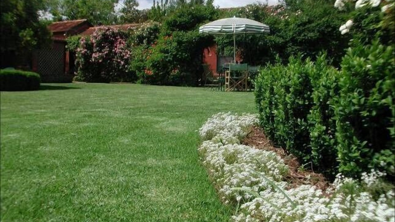 Photo of Outdoor in North Adelaide