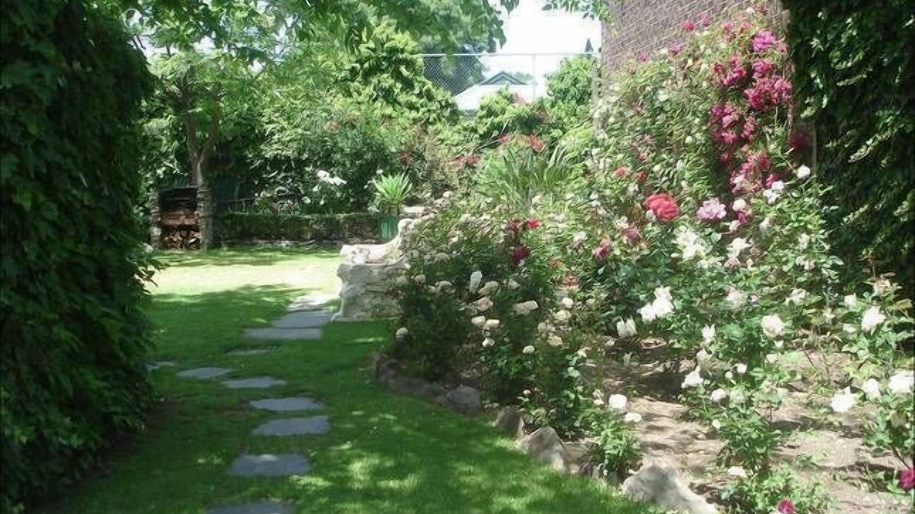 Photo of Outdoor in North Adelaide