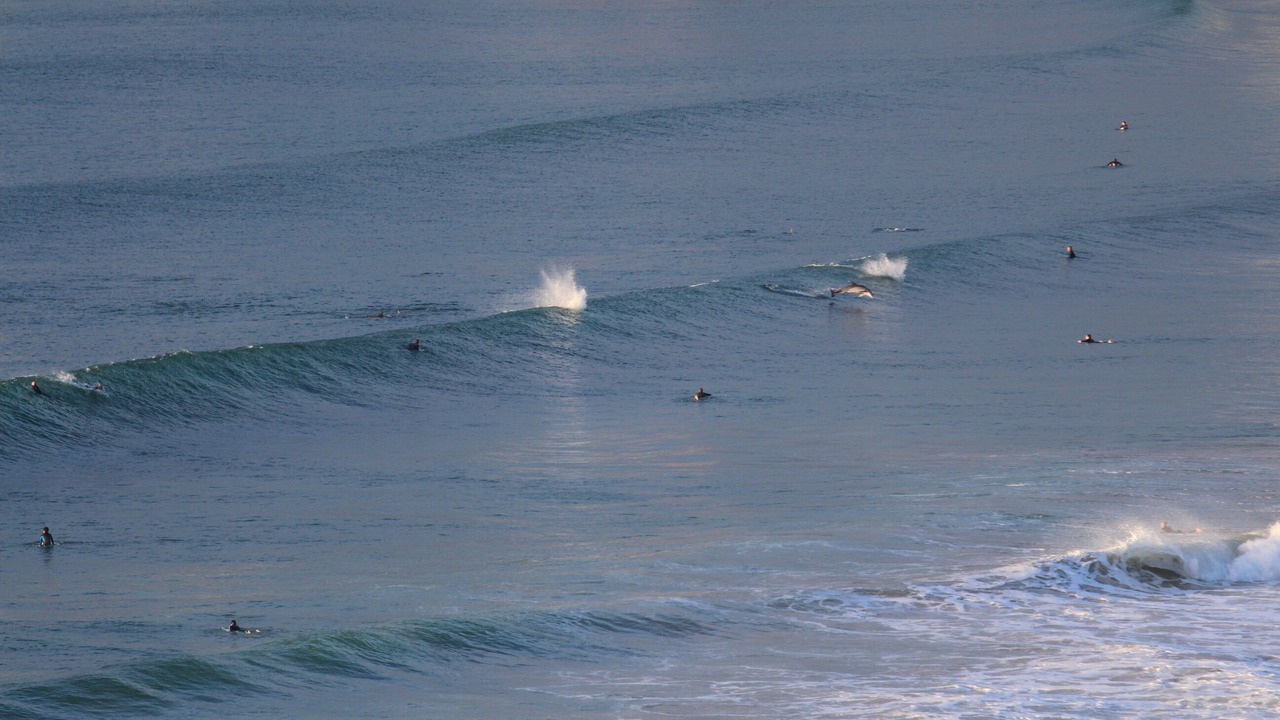 Photo of Patio Balcony in Queenscliff