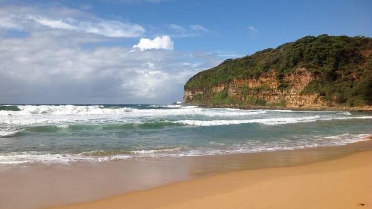 Photo of Others in Macmasters Beach