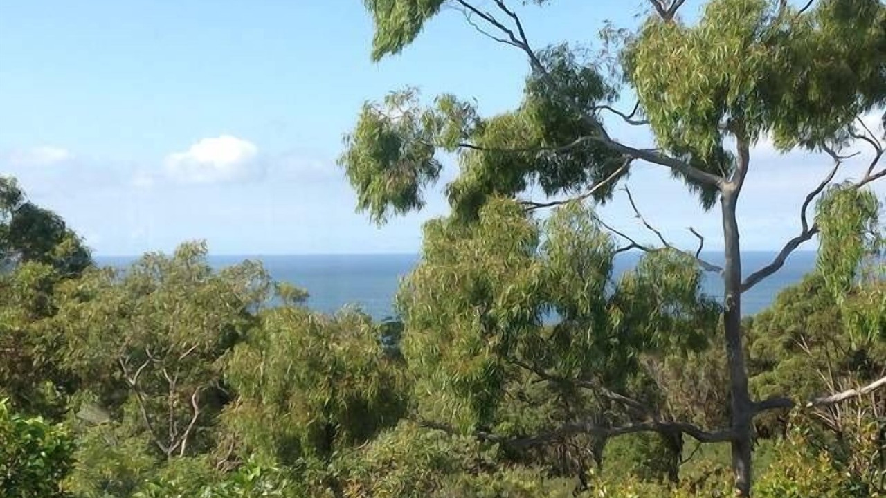 Photo of Others in Macmasters Beach