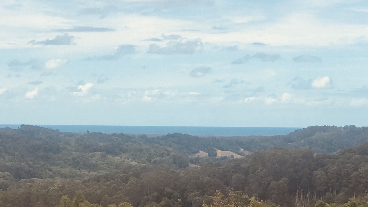 Photo of Others in Main Arm