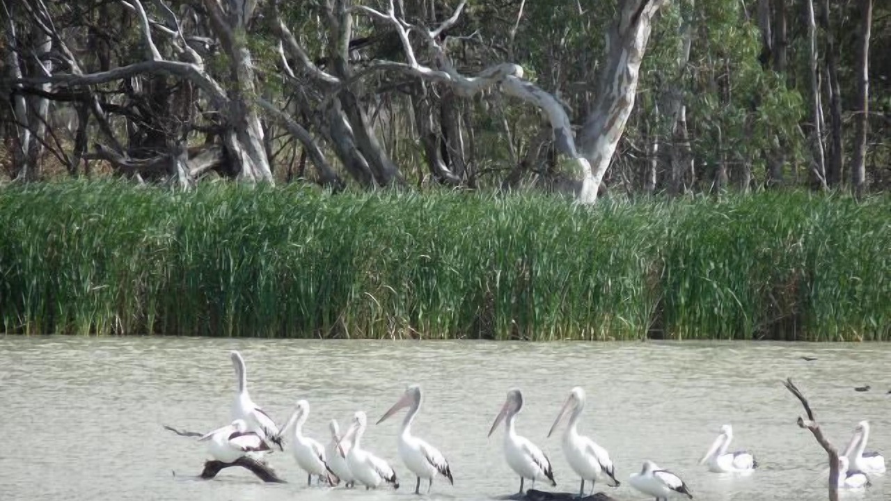 Photo of Others in Murtho