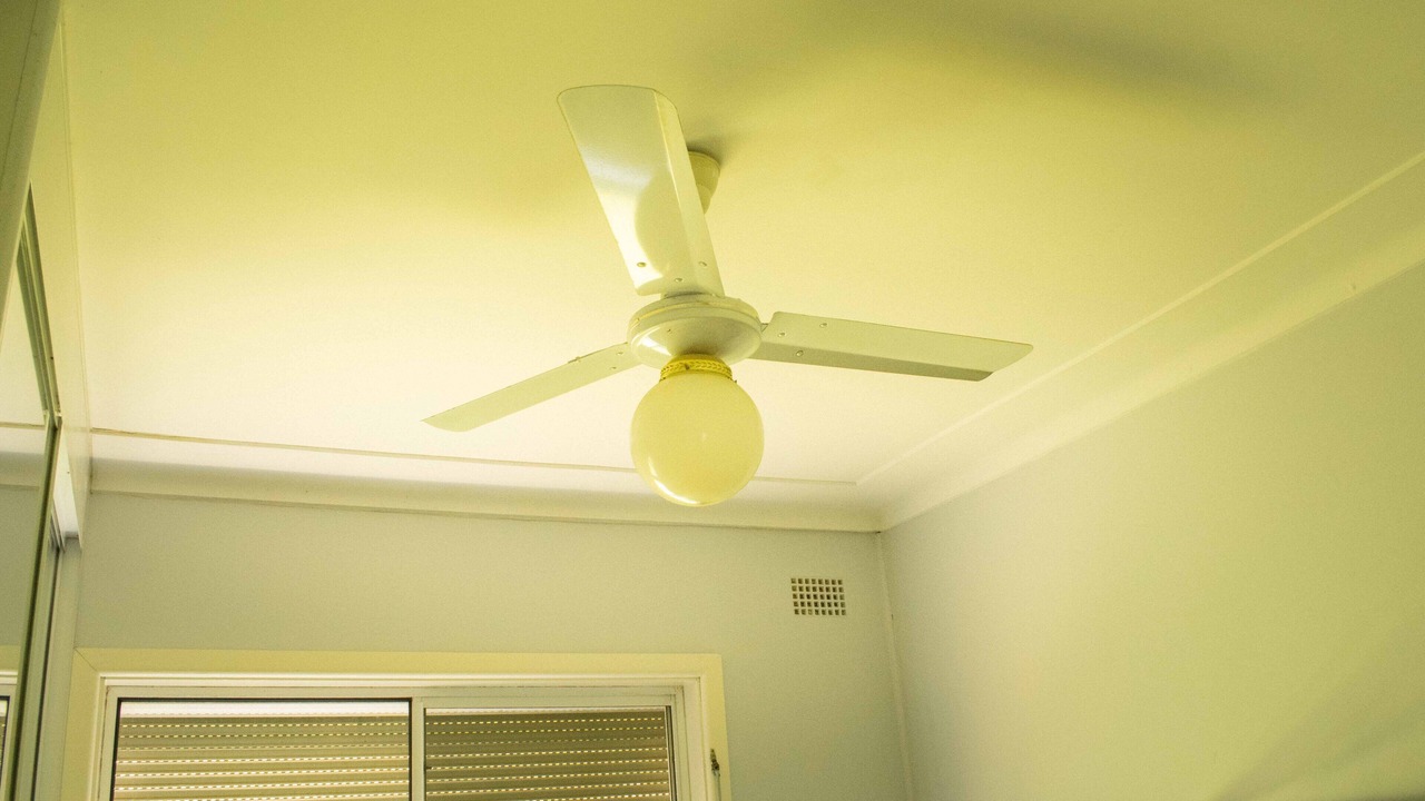 Photo of Others in Freemans Reach