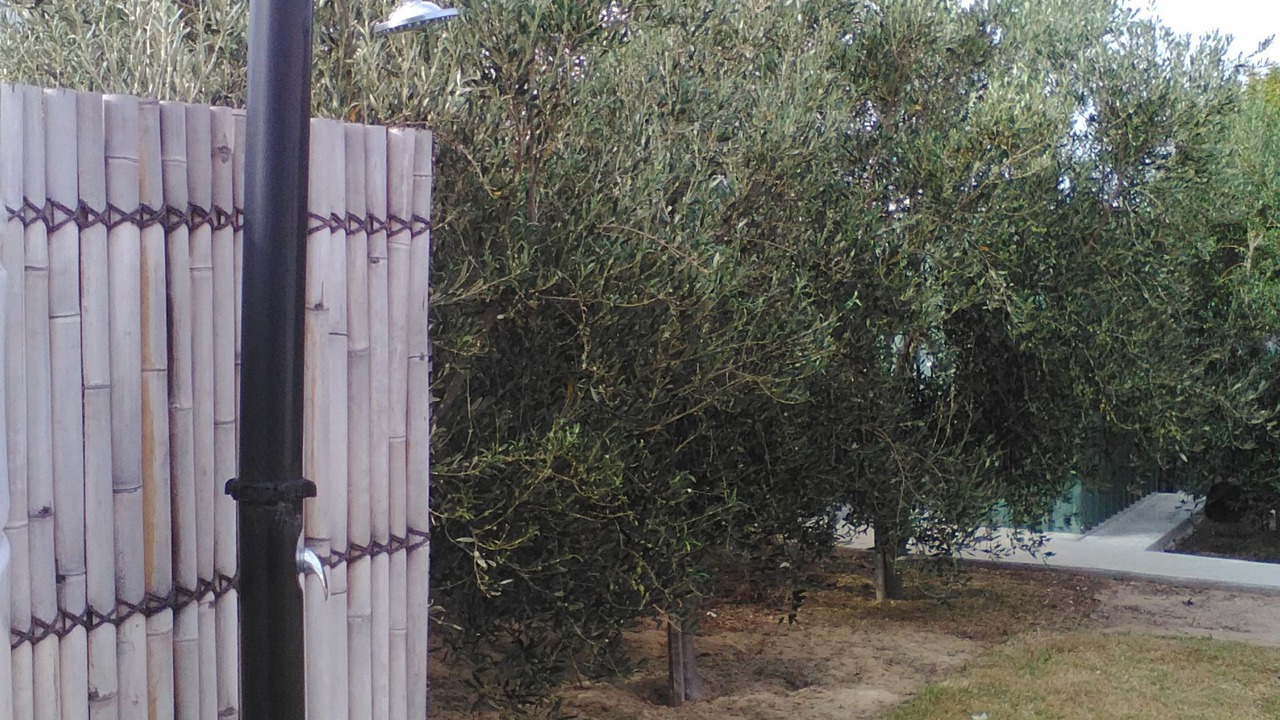 Photo of Outdoor in Port Hughes