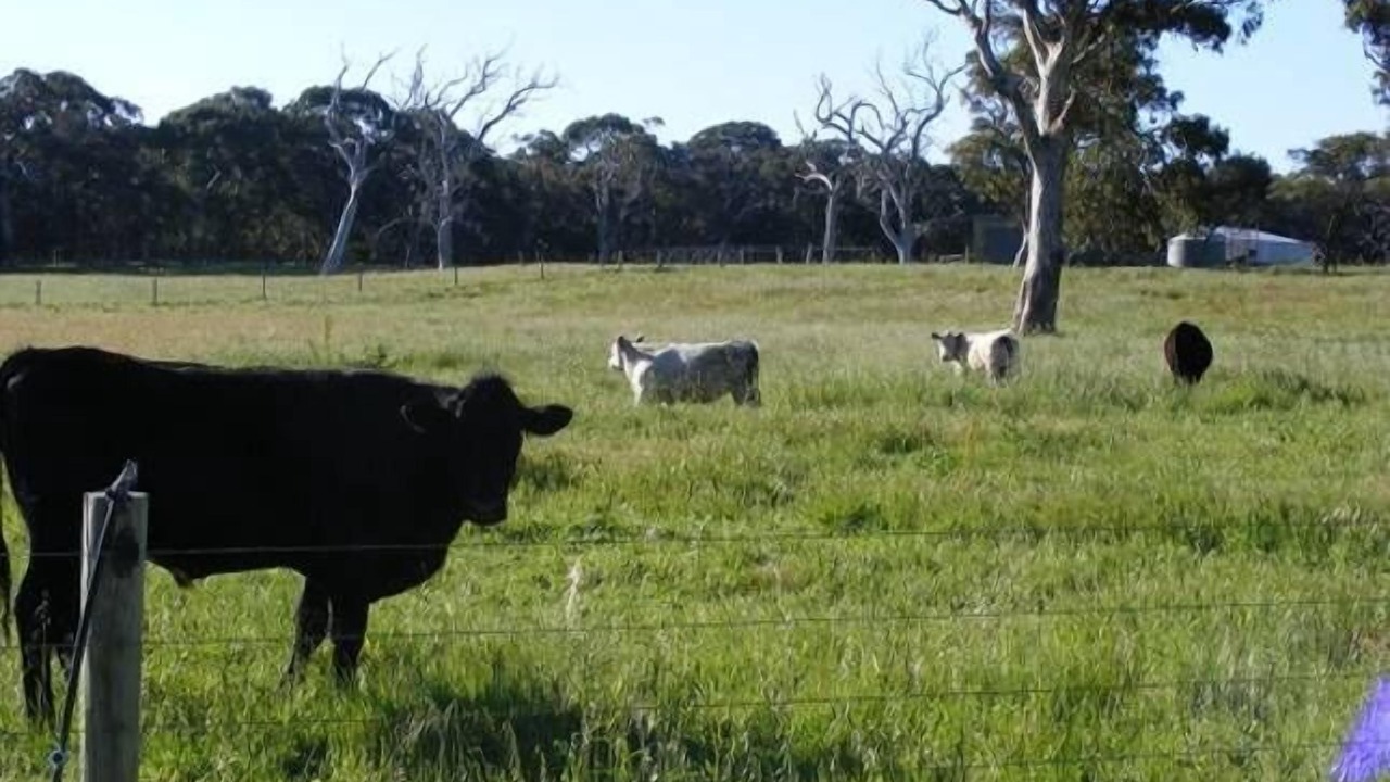 Photo of Others in Waitpinga