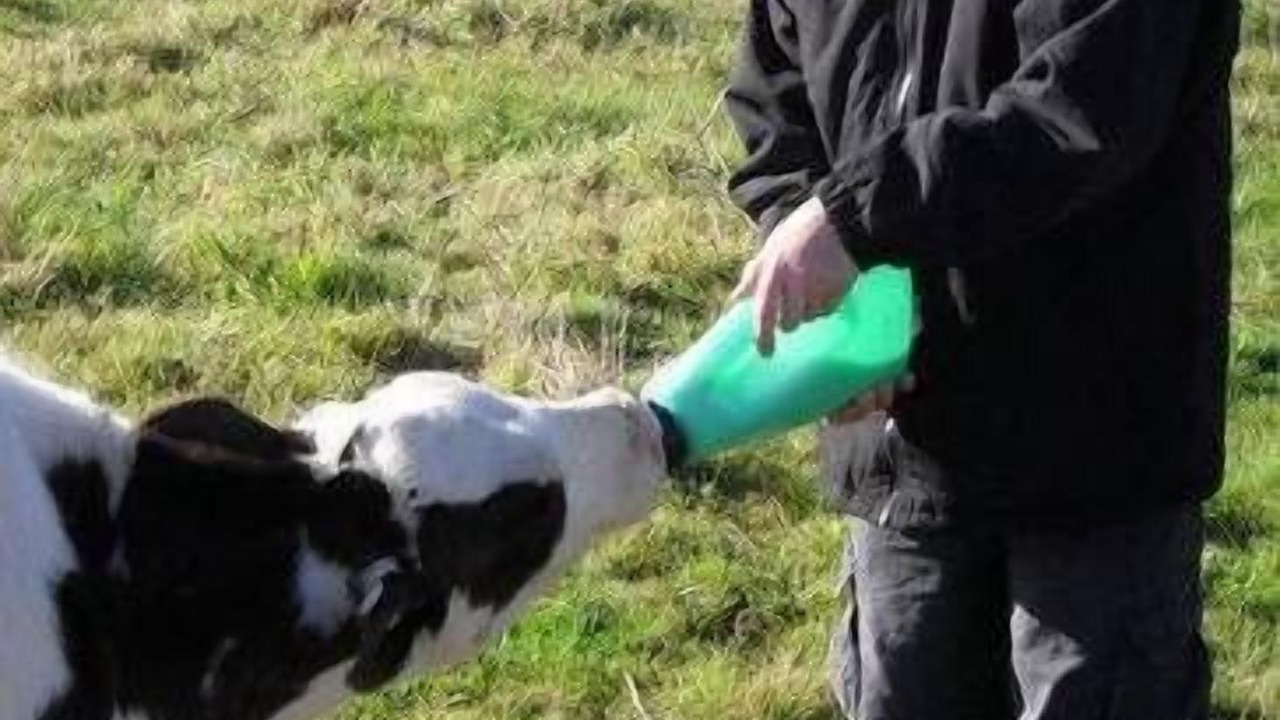 Photo of Outdoor in Waitpinga