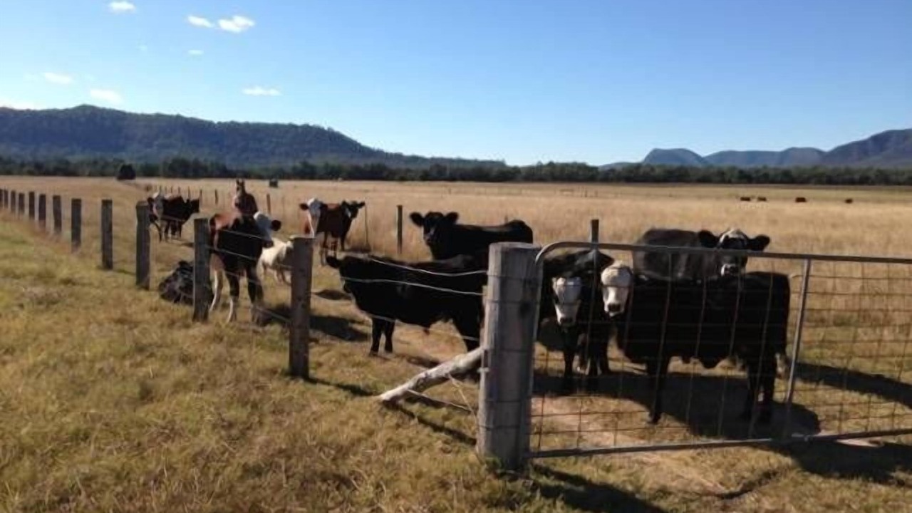 Photo of Outdoor in Broke