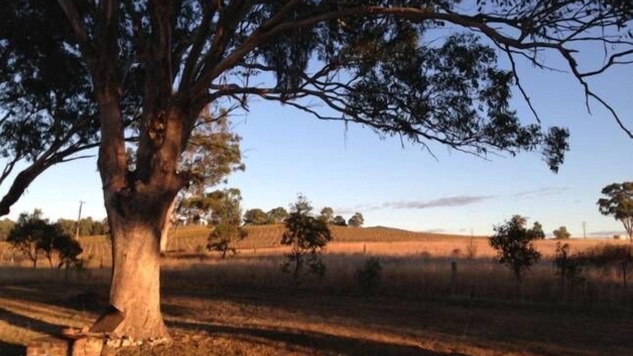 Photo of Outdoor in Broke