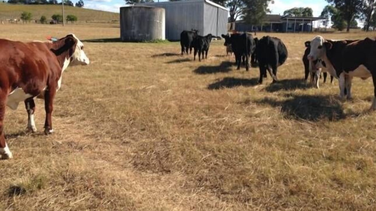 Photo of Outdoor in Broke