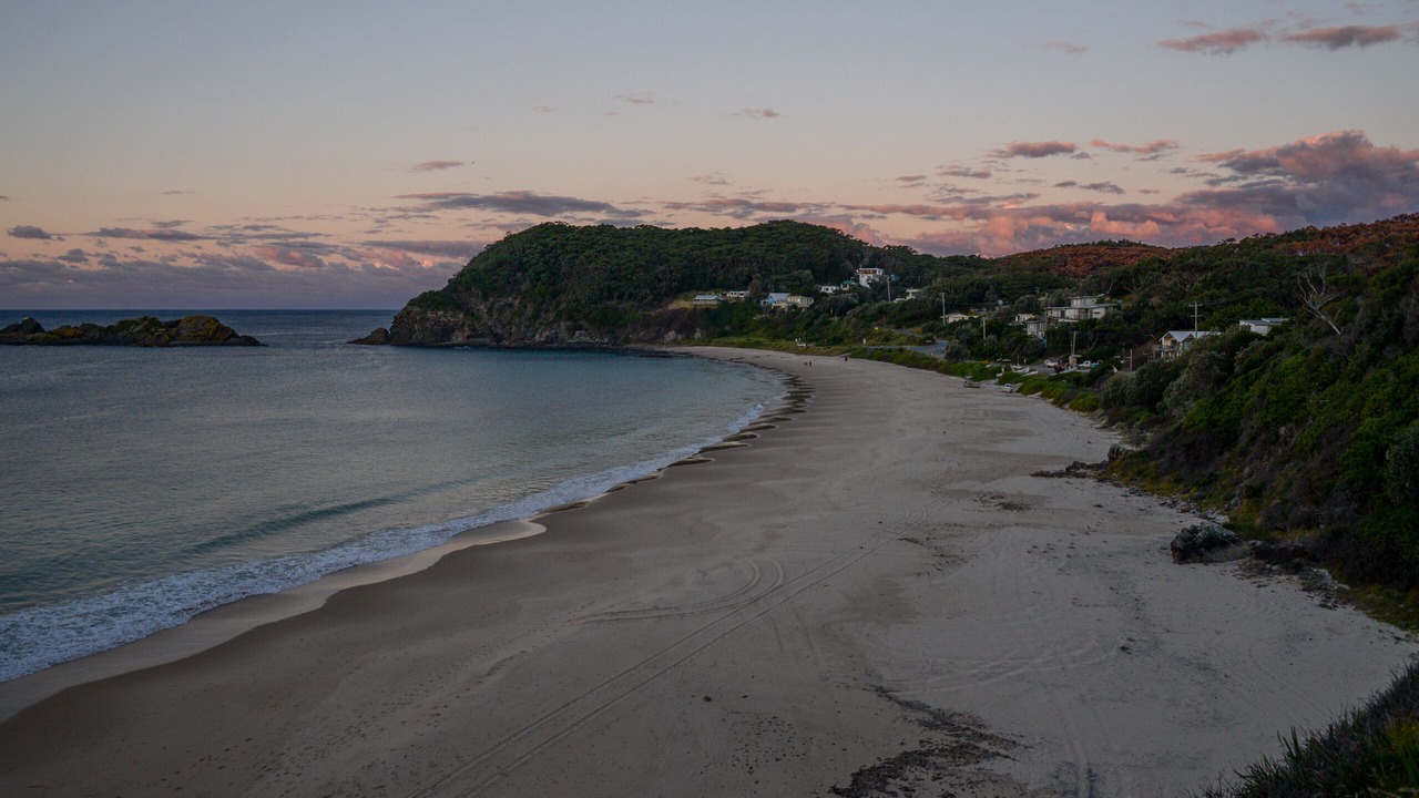 Photo of Others in Seal Rocks