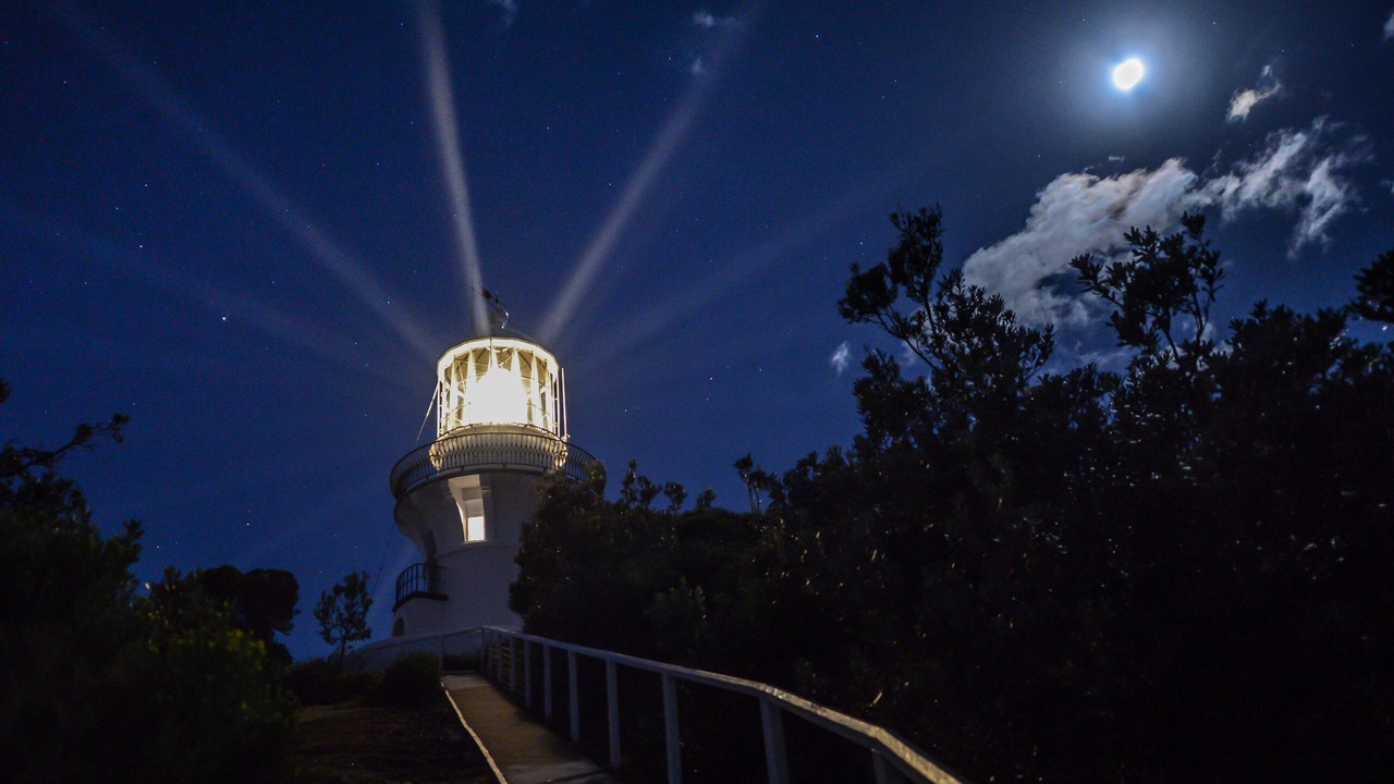 Photo of Others in Seal Rocks