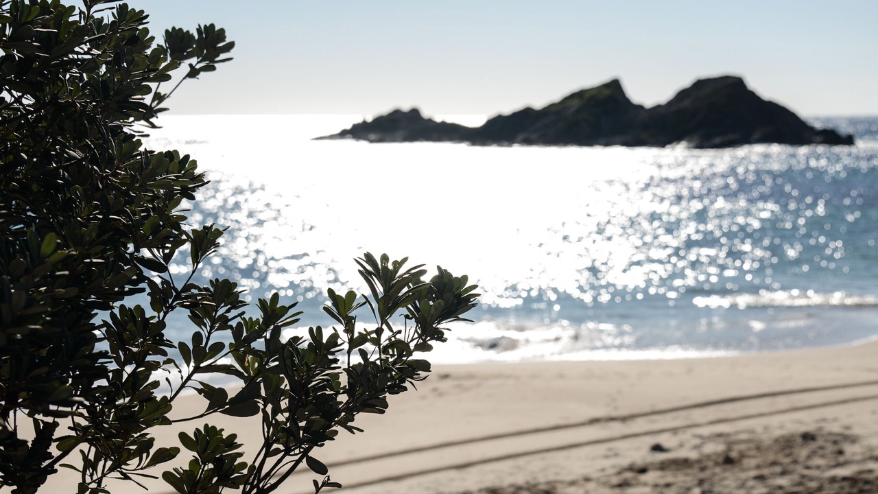 Photo of Others in Seal Rocks