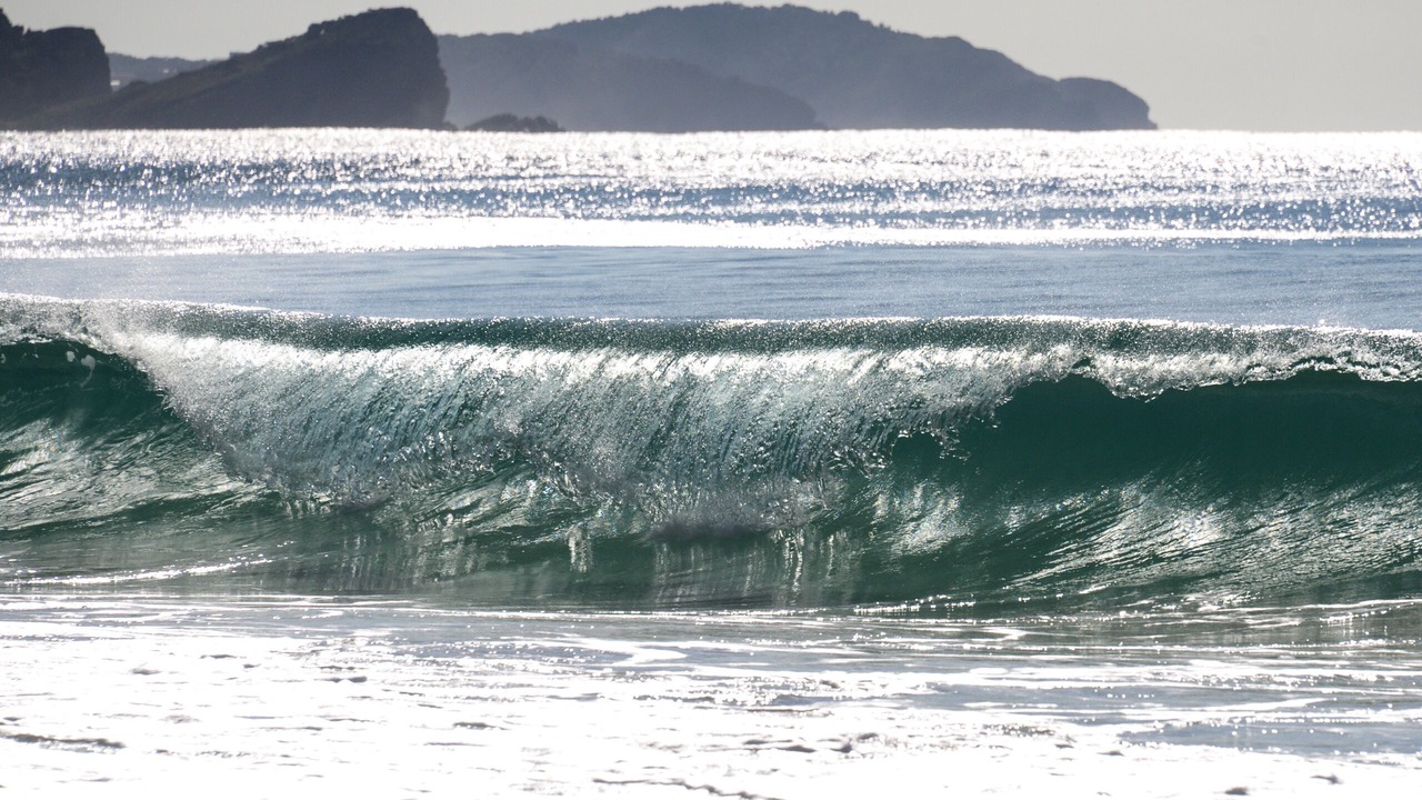 Photo of Others in Seal Rocks