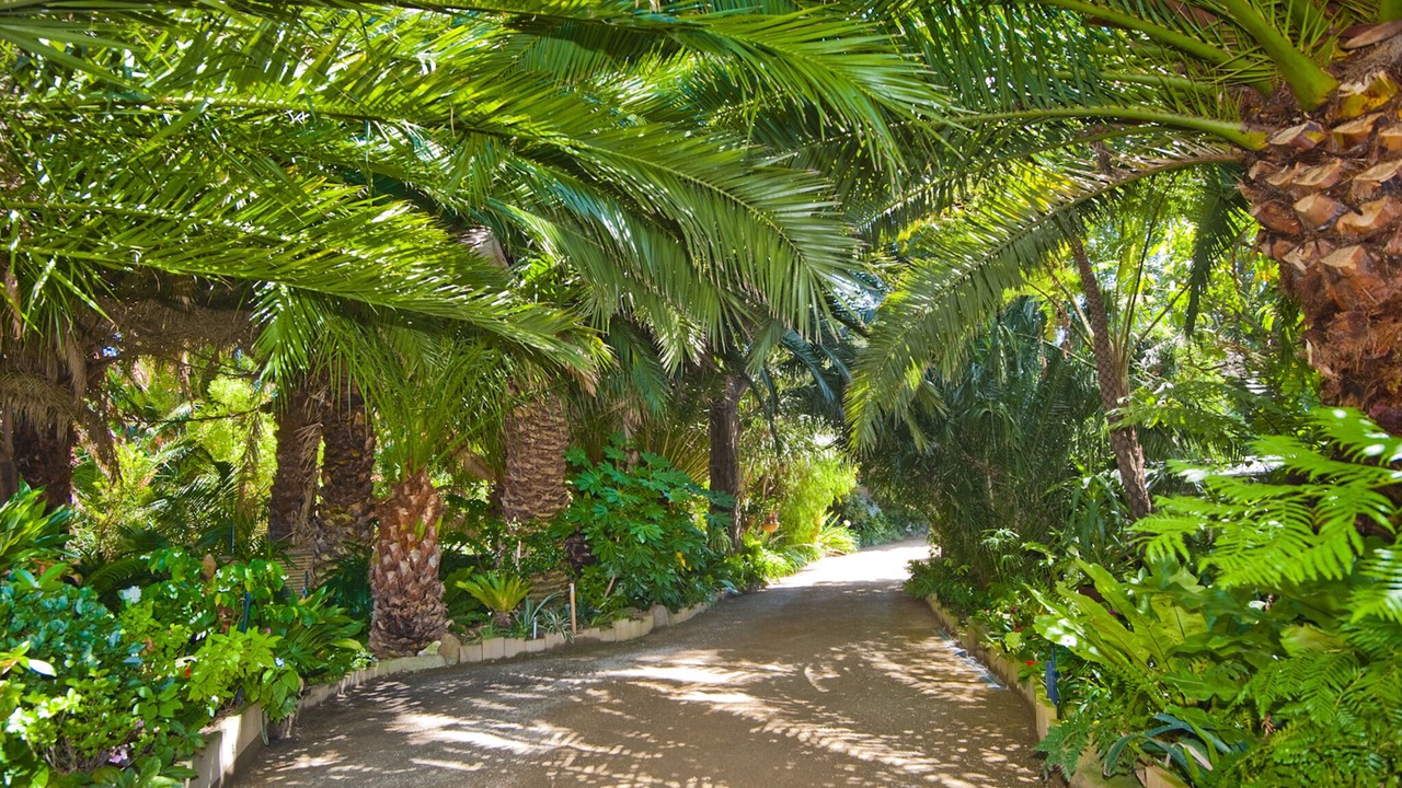 Photo of Others in Rosebud