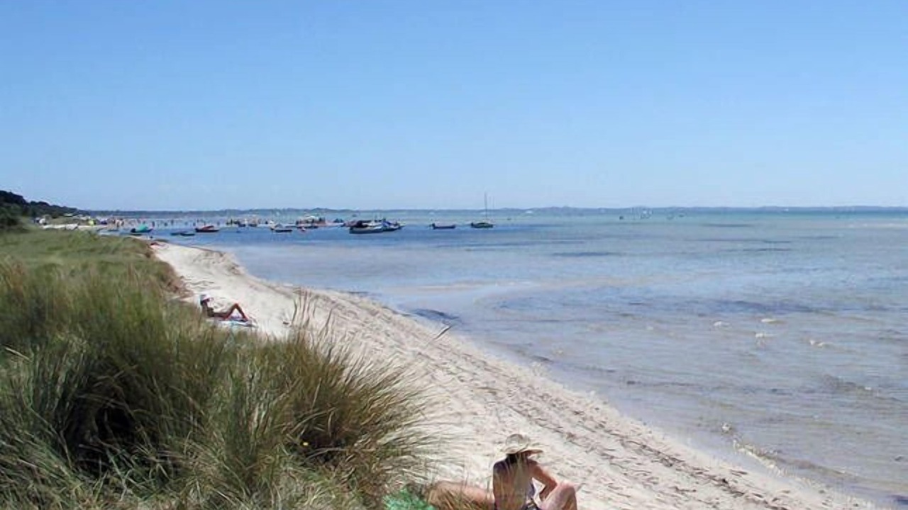 Photo of Others in Rosebud