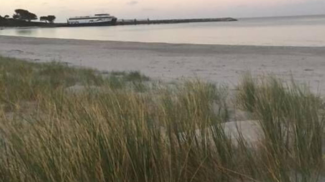 Photo of Others in Penneshaw