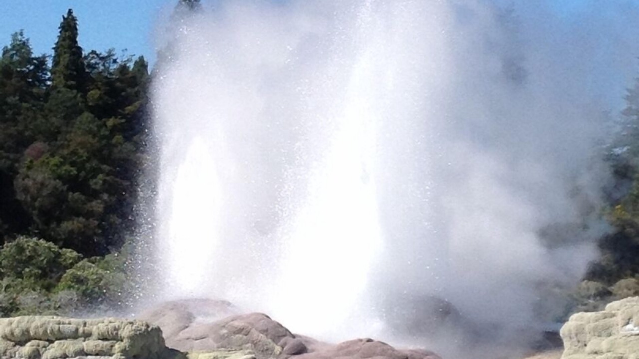 Photo of Others in Springfield