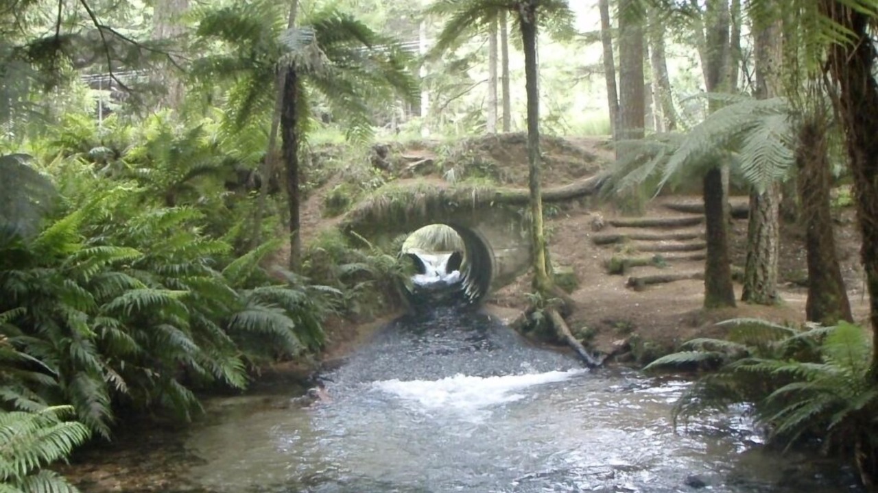 Photo of Others in Springfield