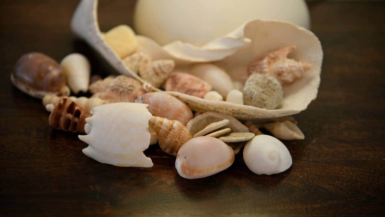 Photo of Others in South Mission