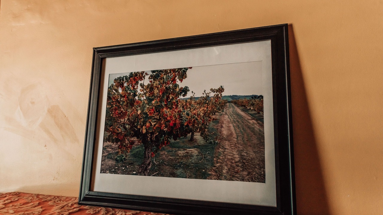 Photo of Others in Tanunda