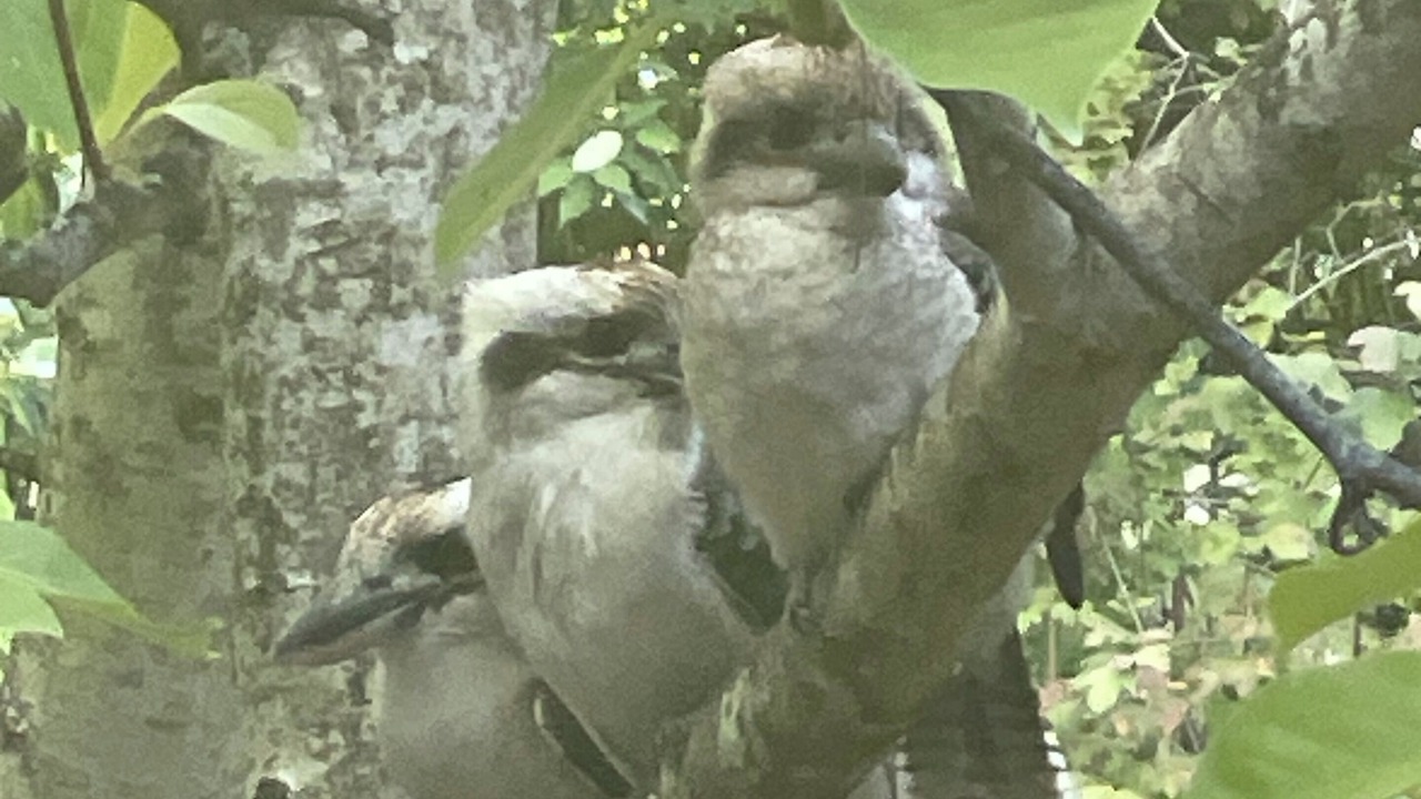 Photo of Others in Stirling