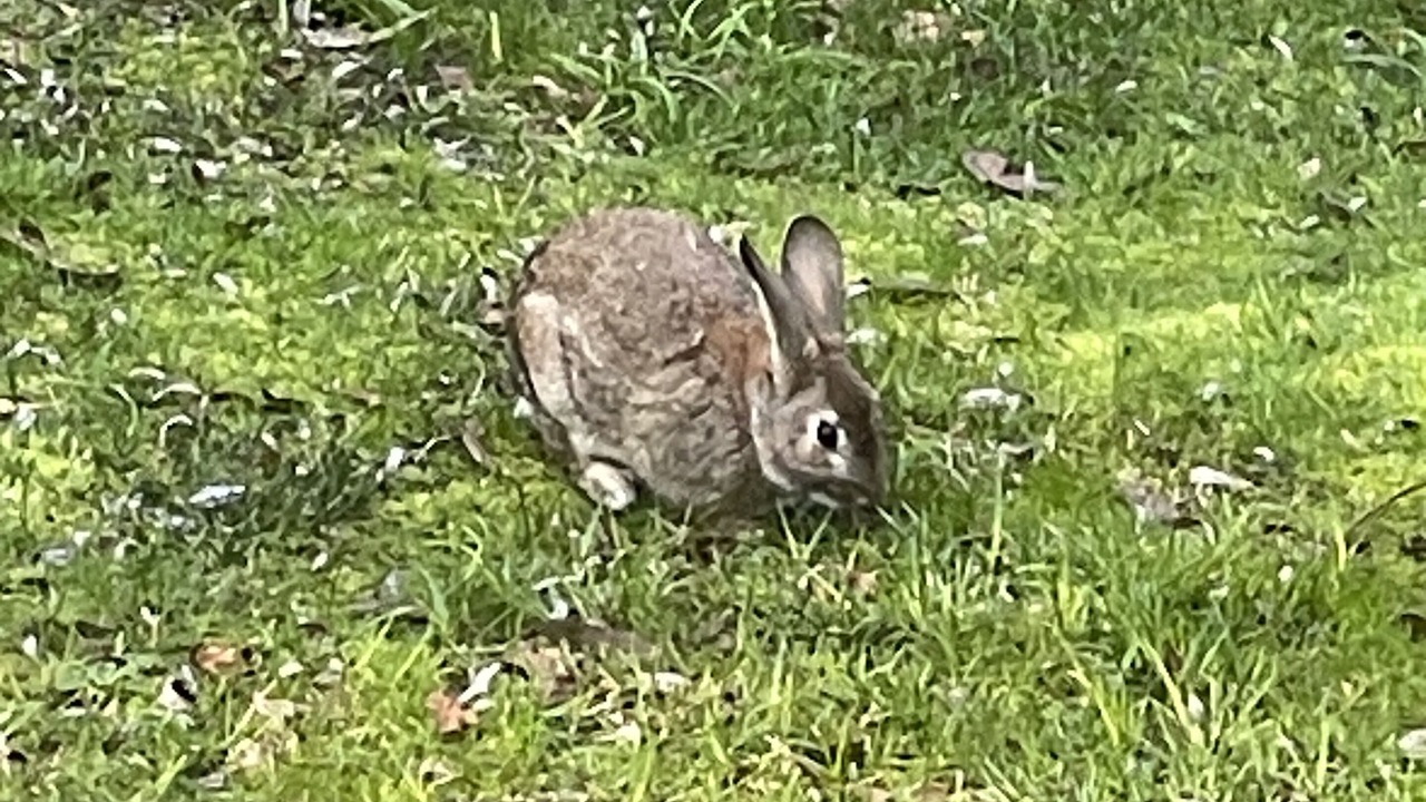 Photo of Others in Stirling